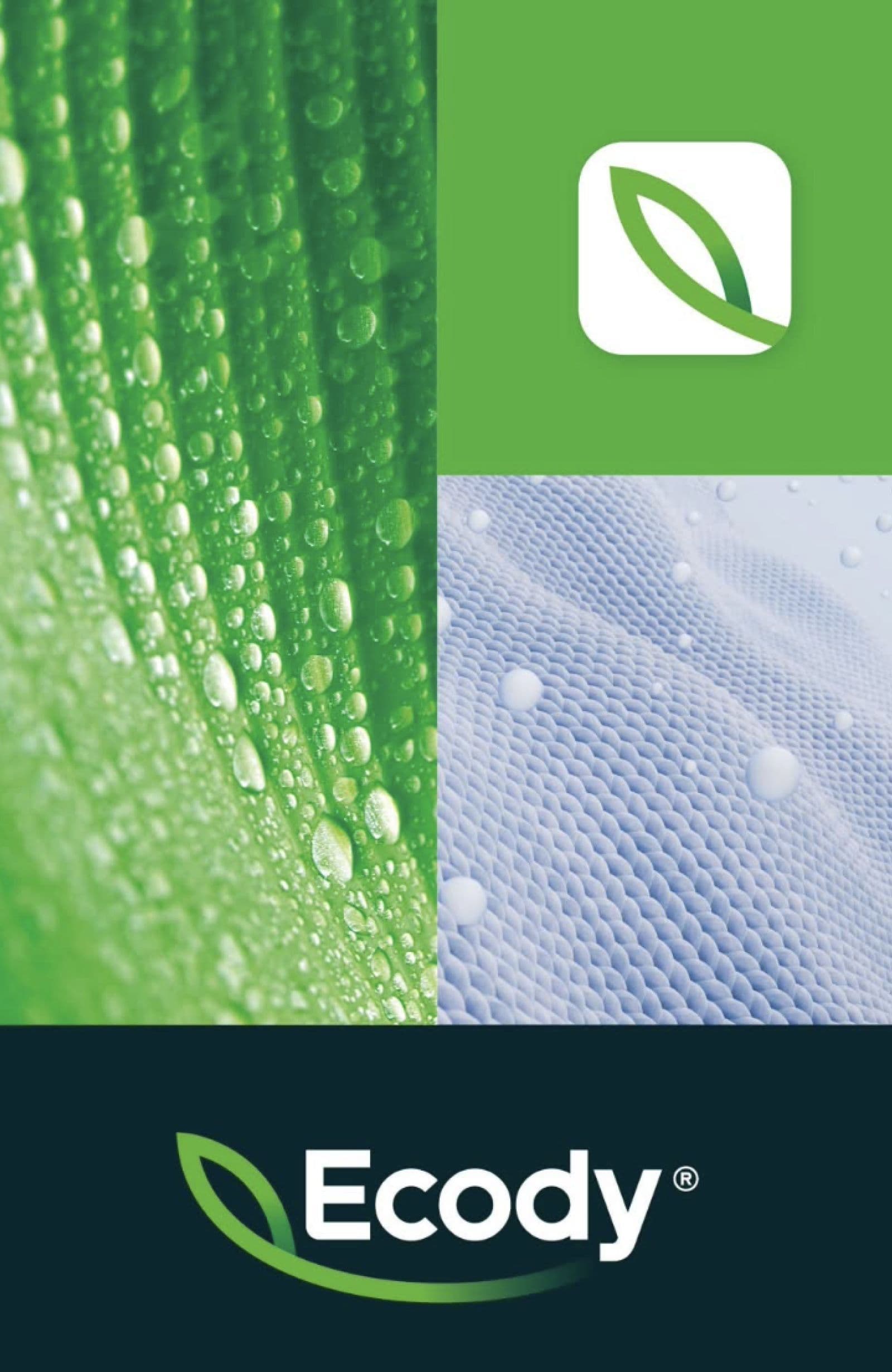 Ecody